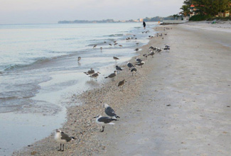 Bradenton Beach-AMI