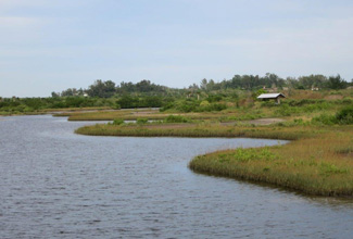 Robinson Preserve